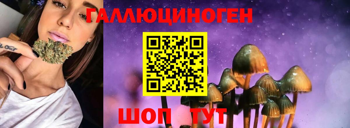 как найти наркотики  Псилоцибиновые грибы Cubensis  Псилоцибиновые грибы мухоморы  Вход с VPN  Салехард 