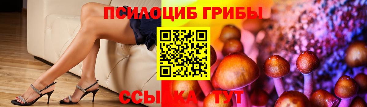 Псилоцибиновые грибы MAGIC MUSHROOMS Салехард
